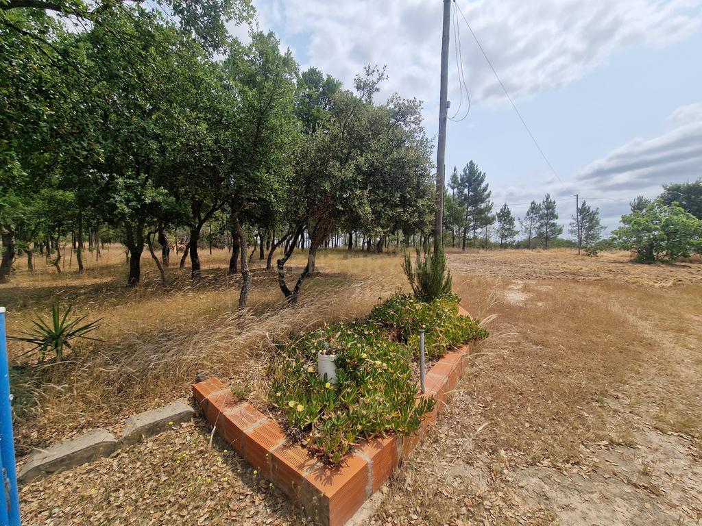 Monte/Terreno em Santiago do Cacém, com Vista Campestre e Árvores Frutíferas - Image 8