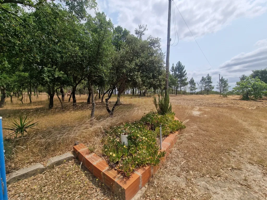 Monte/Terreno em Santiago do Cacém, com Vista Campestre e Árvores Frutíferas - Image 8