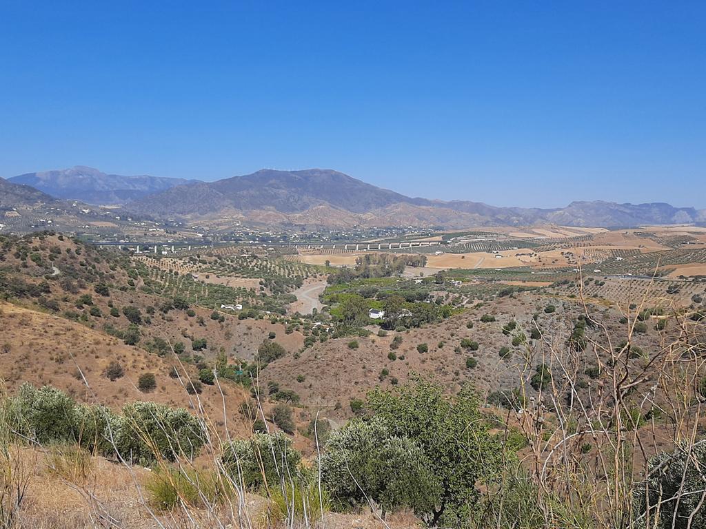 QUINTA RÚSTICA COM 11.000 m² DE TERRENO, PRIVACIDADE E VISTAS PANORÂMICAS EM ÁLORA - Image 32