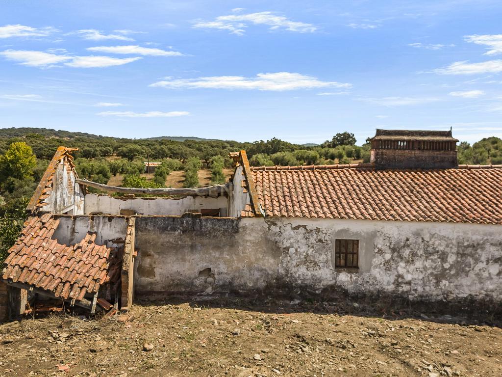 HERDADE COM 5,9 HECTARES, MORADIA E CAVALARIÇA | SANTIAGO DO ESCOURAL - Image 4