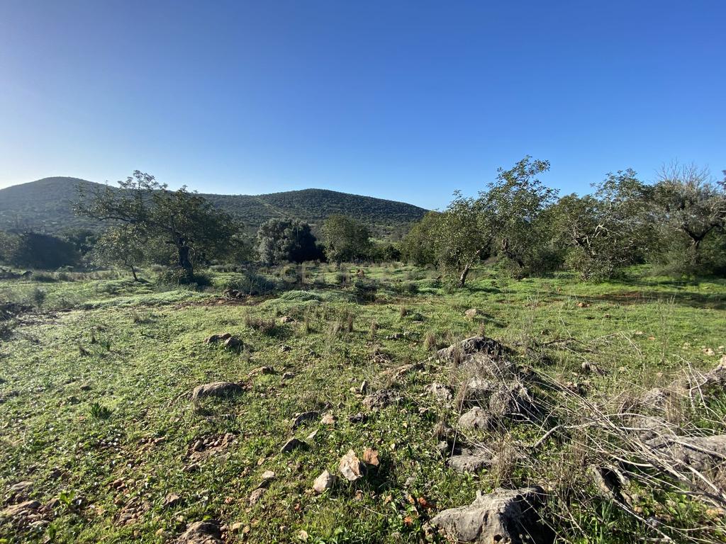 Quinta encantadora com potencial de expansão perto de Albufeira - Image 42