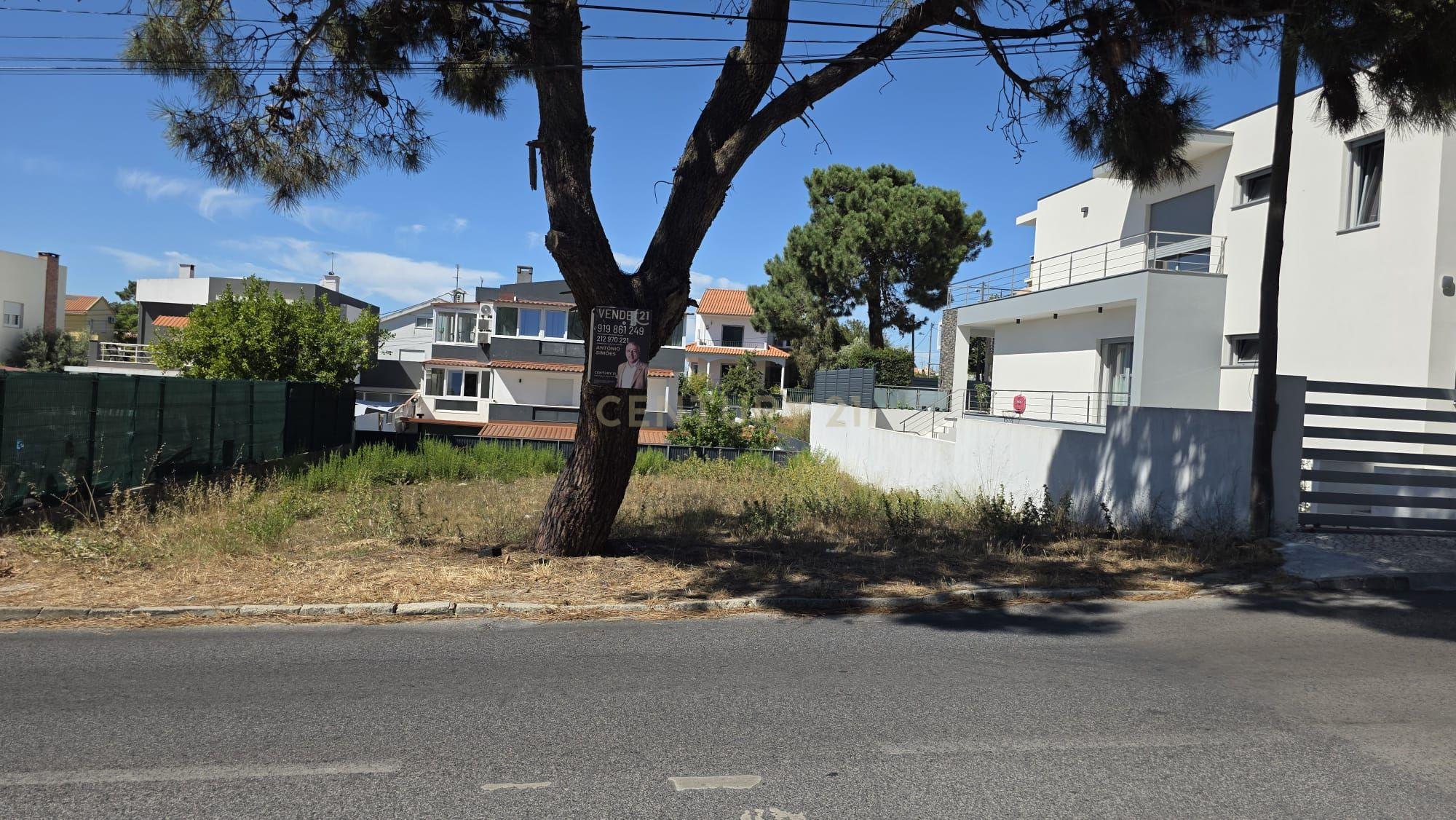 Fotografia 4 de # NOVIDADE #  TERRENO COM LOCALIZAÇÃO DE EXCELÊNCIA NA CHARNECA CAPARICA ( permite caminhar a comércio e serviços com facilidade )