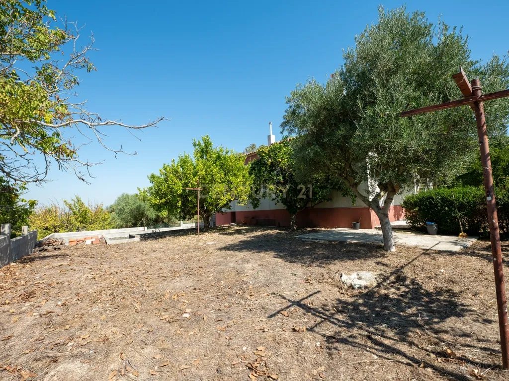 O melhor do campo, à saída de Lisboa - Image 21