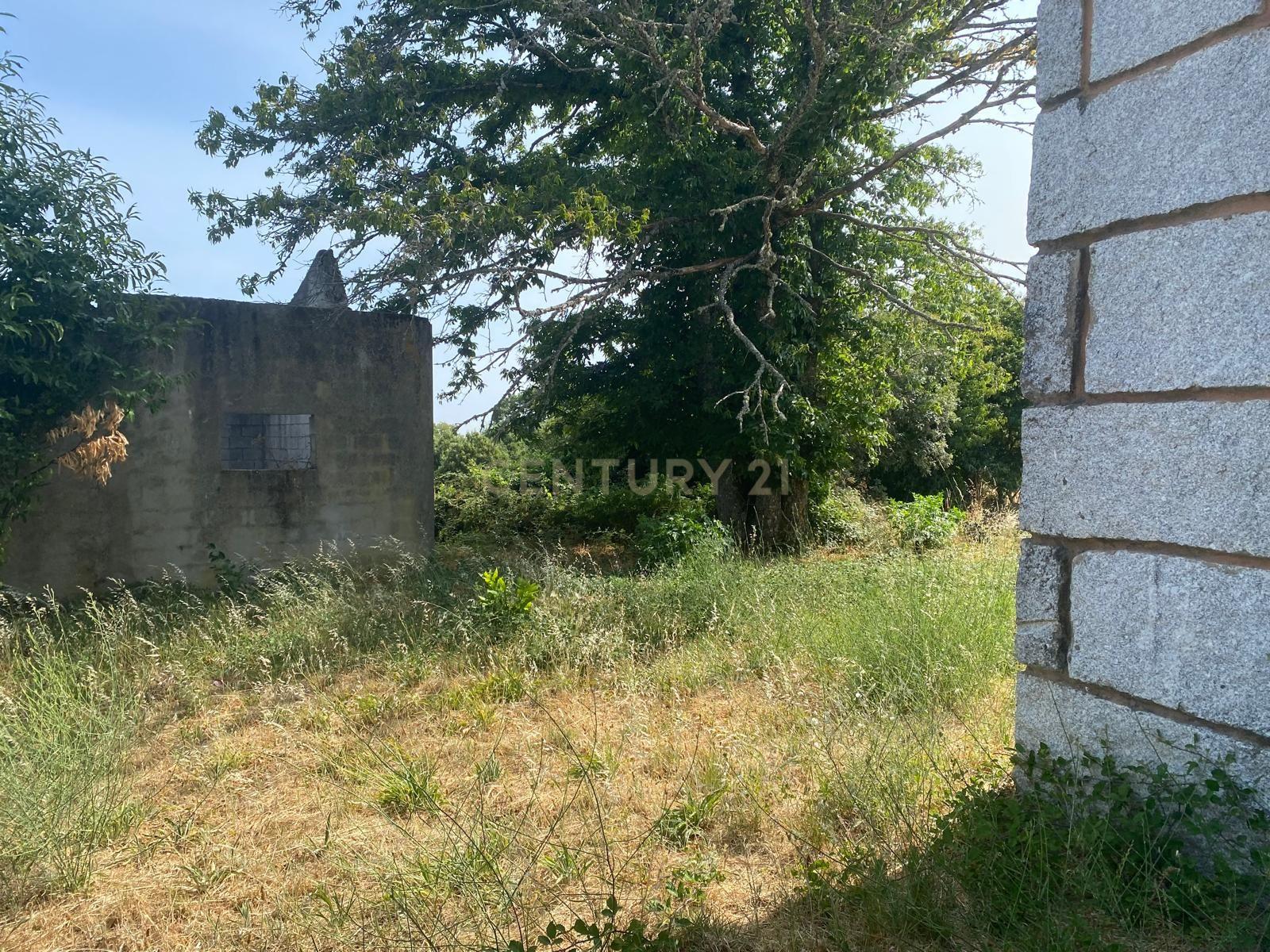 Moradia T4 à venda em Planalto de Monforte (Oucidres e Bobadela), Chaves — foto 22