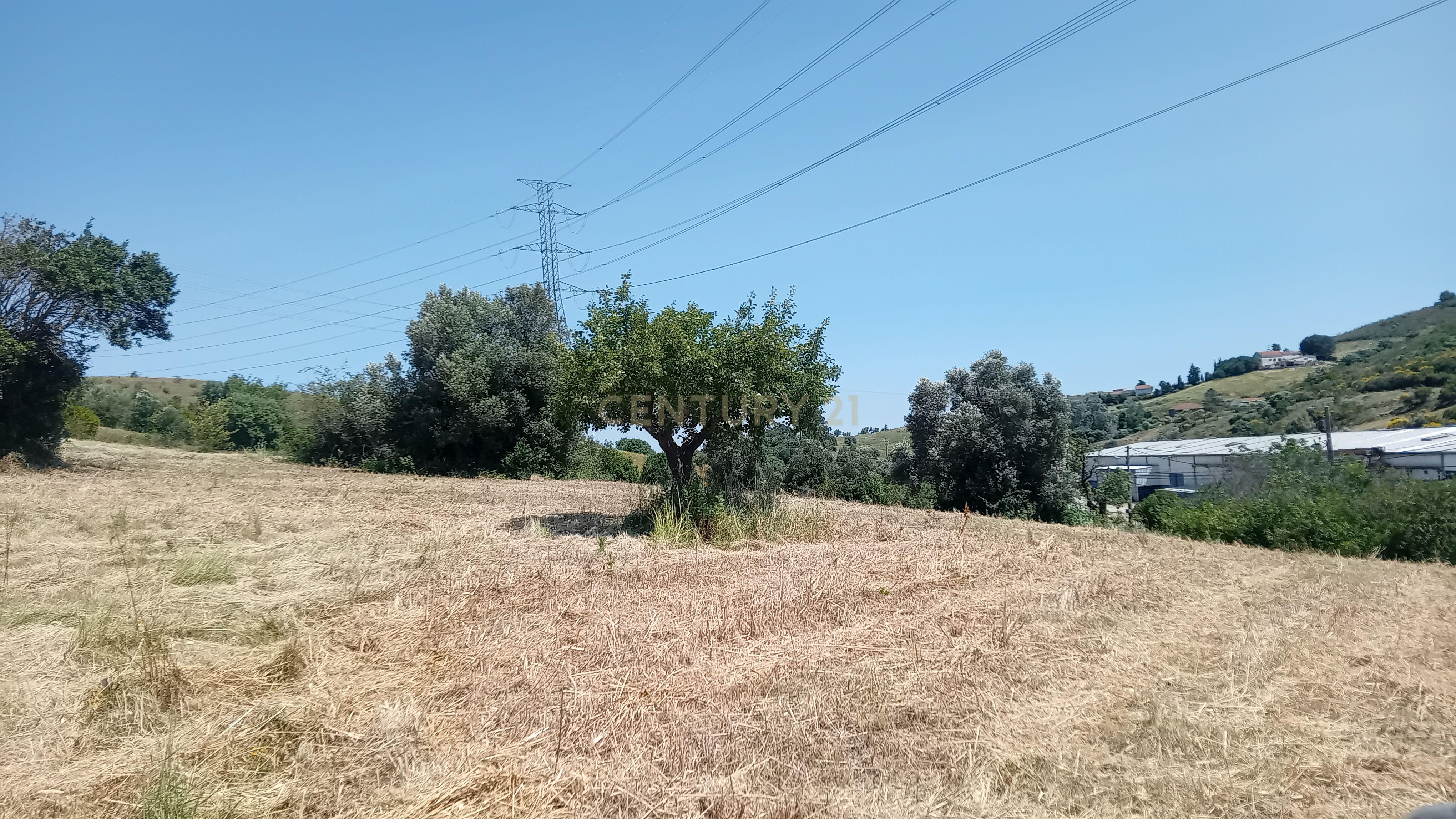 Land for sale in Vila Franca de Xira, Portugal — €220,000