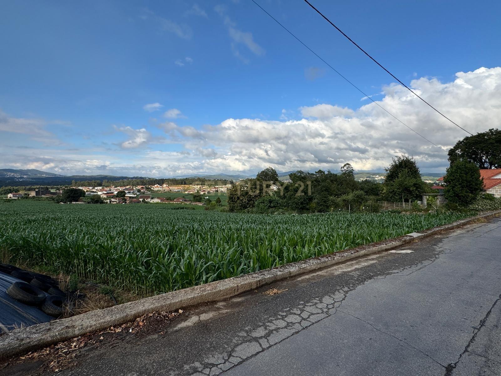 Fotografia 3 de Terreno Rústico com 10.000 m² em Monte de Fralães – Barcelos
