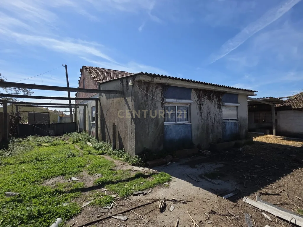 Casa para Recuperar em Marinha Grande, Leiria - Image 4