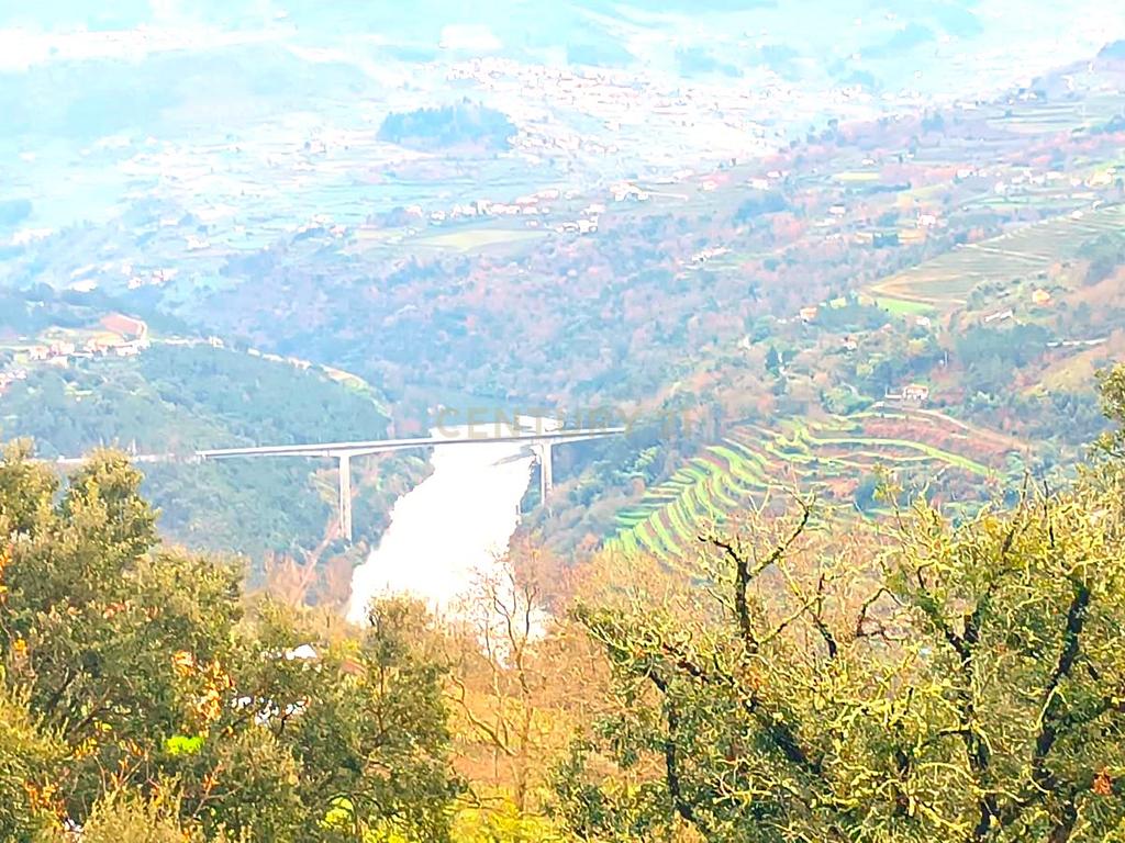 Belíssima ruína em terreno verdejante com vista deslumbrante para o Rio Douro, Baião, Porto - Image 6