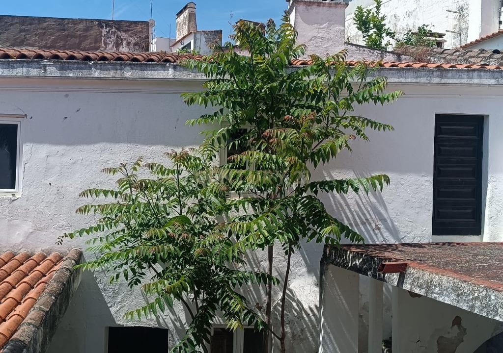 Prédio - no coração da vila raiana de Campo Maior! - Image 19