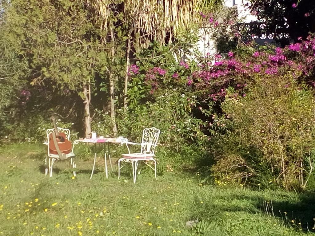 Autenticidade mediterrânica na zona mais exclusiva de Dénia Exclusividade mediterrânica em estado puro - Image 17
