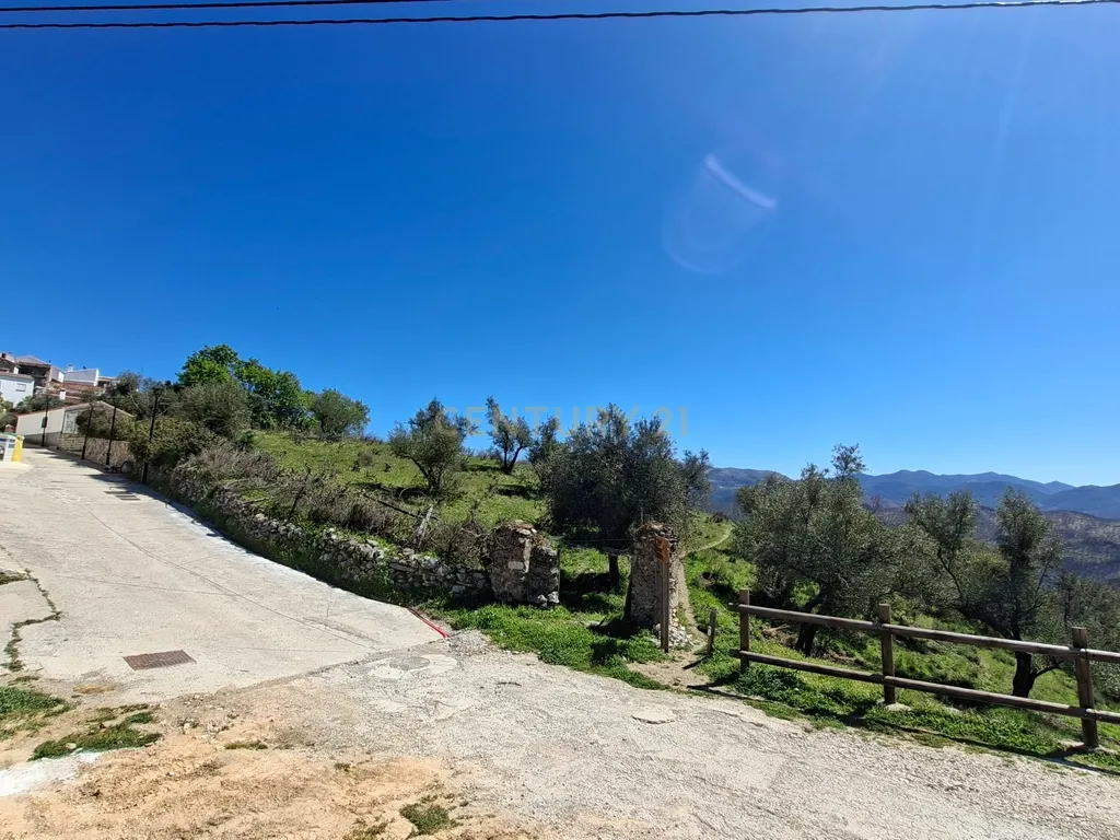 Moradia geminada de gaveto, com orientação sul, vistas para a montanha e duas propriedades rústicas com oliveiras, vinhas e castanheiros, no coração do Alto Genal. - Image 13