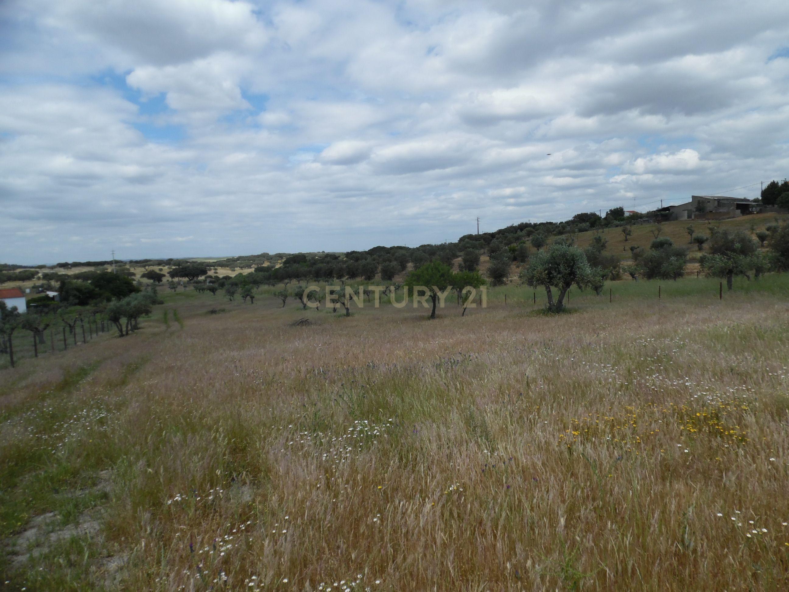 Moradia T3 à venda em Capelins (Santo António), Alandroal — foto 33