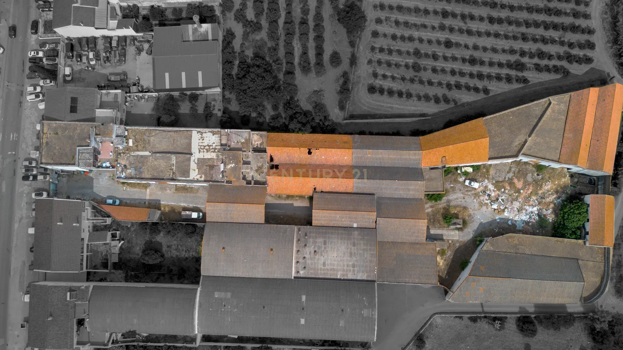 Fotografia 3 de Terreno Urbano com 7.780m2 I Armazéns e Habitação I São Bartolomeu de Messines