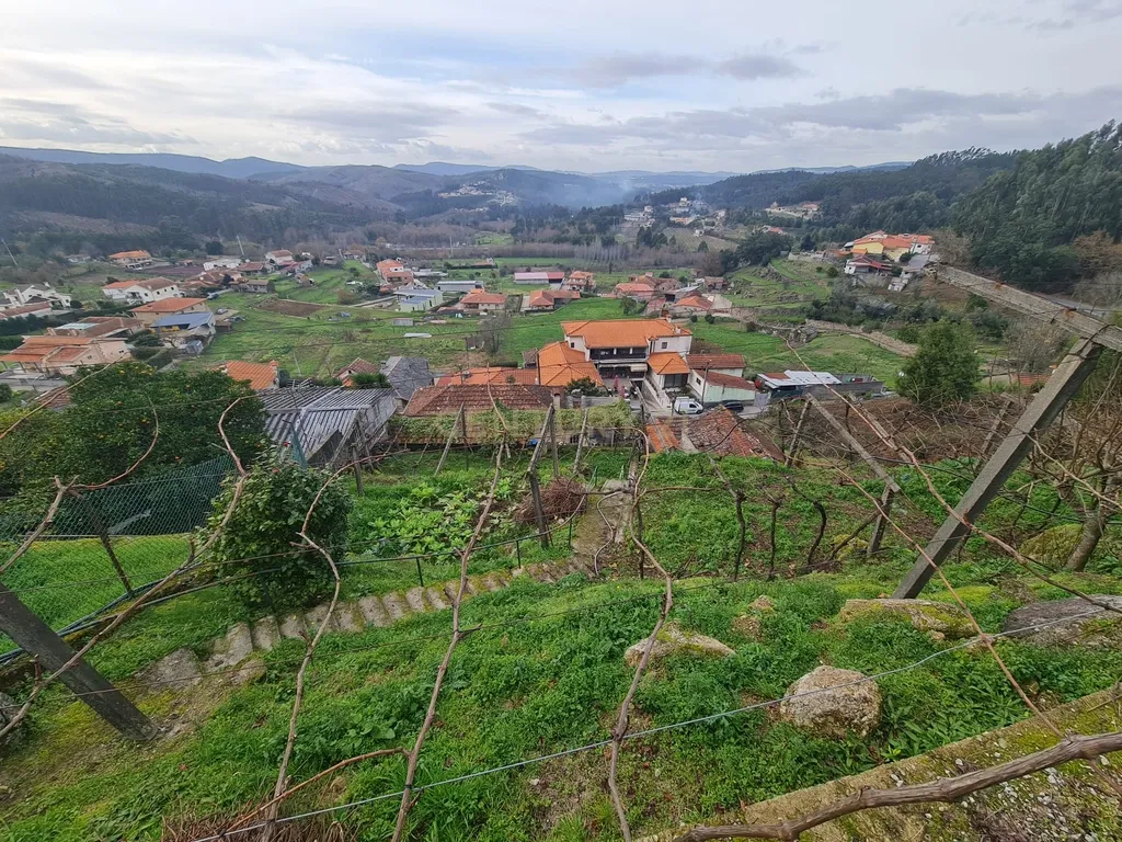 🏡 MORADIA TÉRREA, PENAFIEL, CAPELA 📍Apenas venda conjunta com referência C0188-01896, (Imóvel atualmente comercializado ao abrigo do Simplex) 📢 EXCELENTE OPORTUNIDADE PARA CRIAÇÃO DE PROJETO DE ALOJAMENTO LOCAL, TURISMO RURAL OU CASA DE FÉRIAS - Image 32