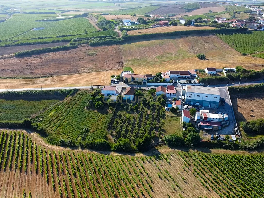 Pequena Quinta em Bonabal – Ventosa, Torres Vedras - Image 4