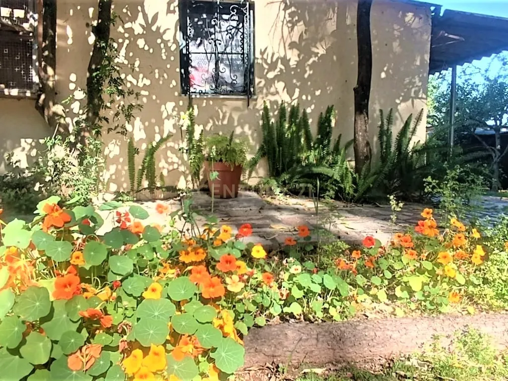 Grande moradia térrea, em Santo Tirso com área de lazer, anexo, jardim e terreno agrícola, Porto - Image 35