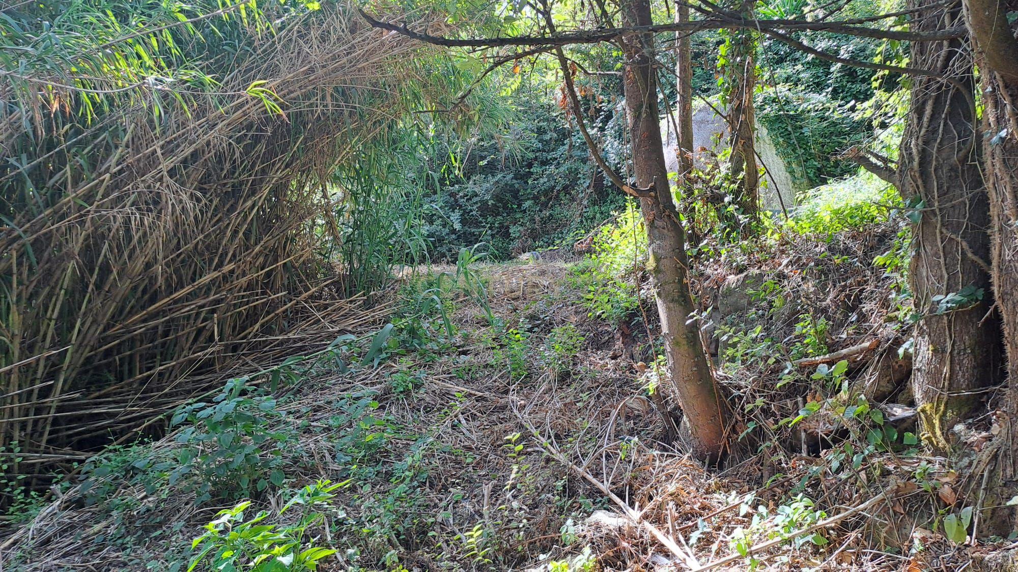 Fotografia 10 de Terreno Agrícola - São João das Lampas