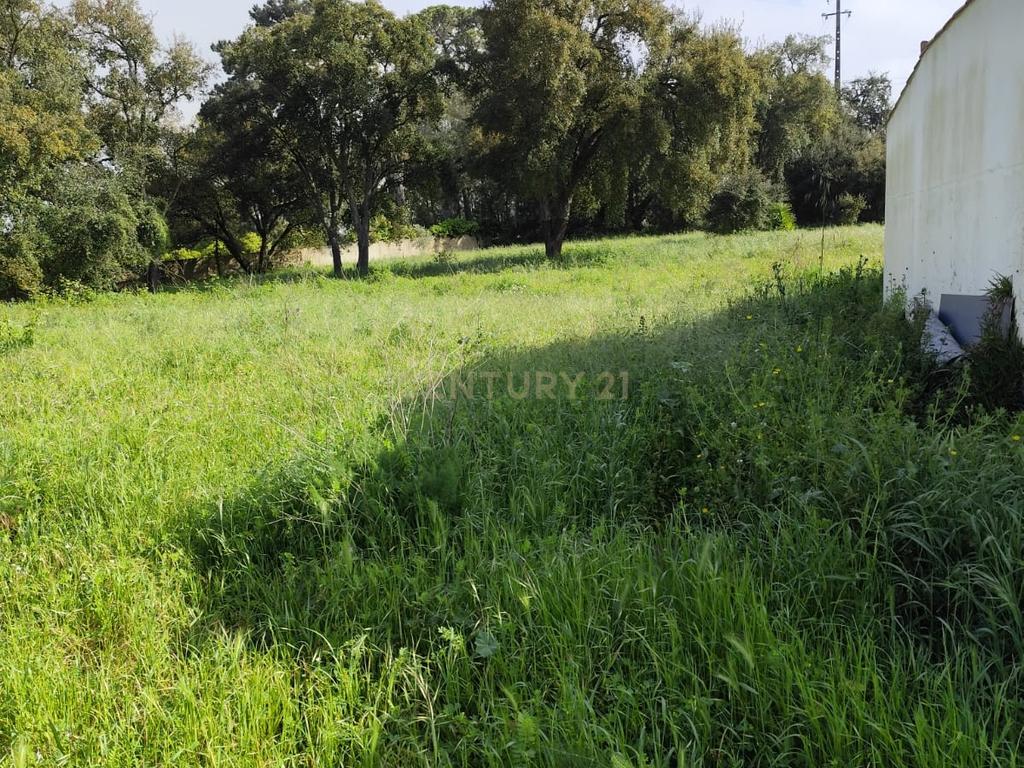 Terreno de 1110m2 Urbano, Oportunidade única  - Image 4