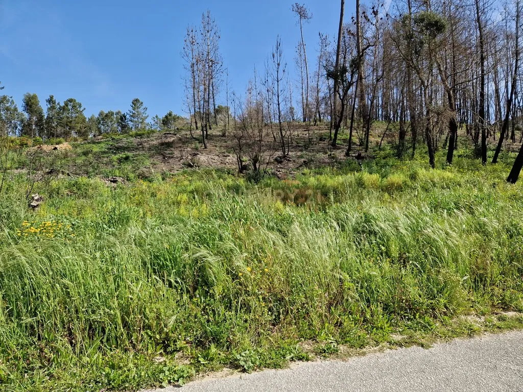 Terreno para construção em Colmeias, Leiria - Image 6