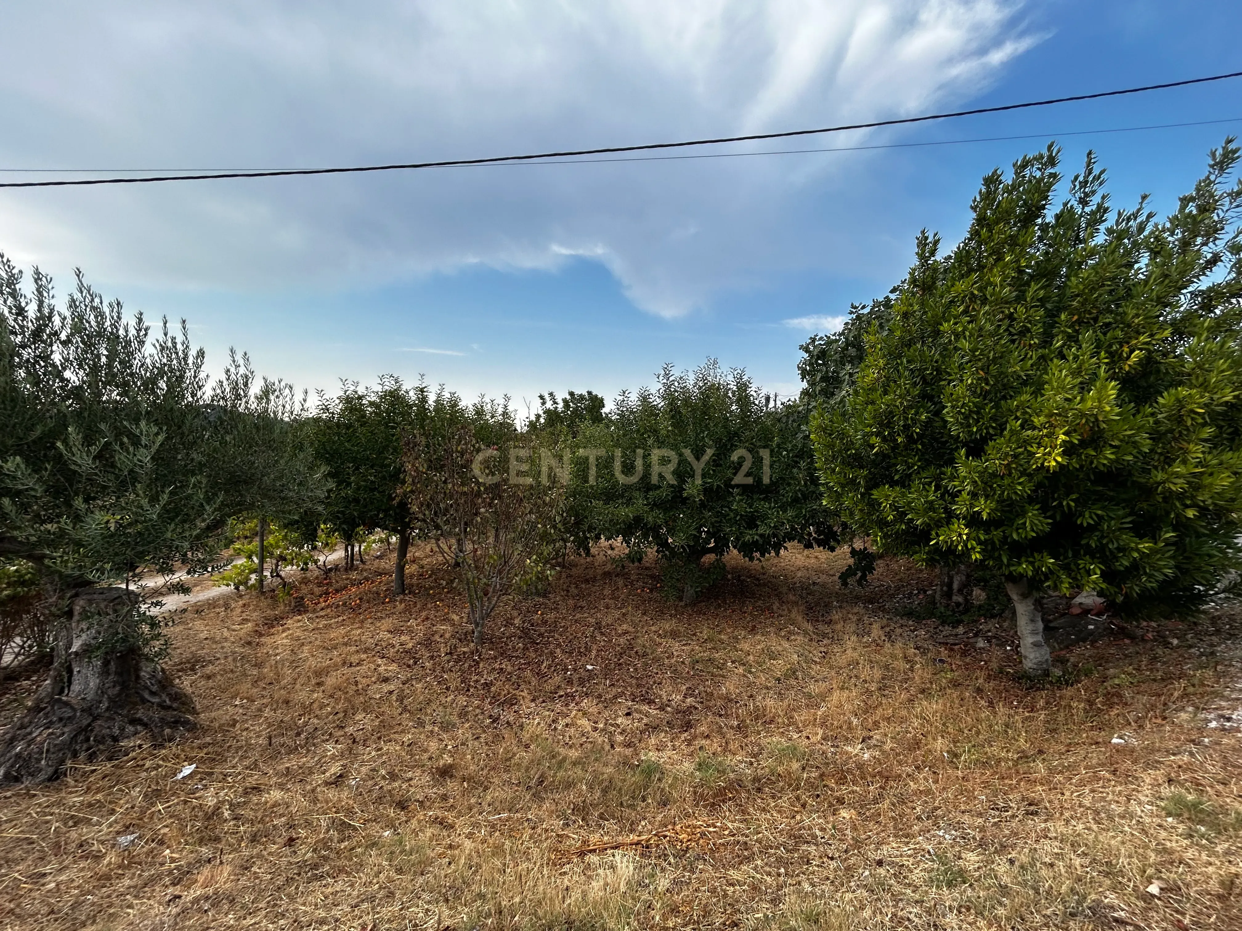 Fotografia 5 de Moradia em Tomar, Santarém - Oportunidade Única