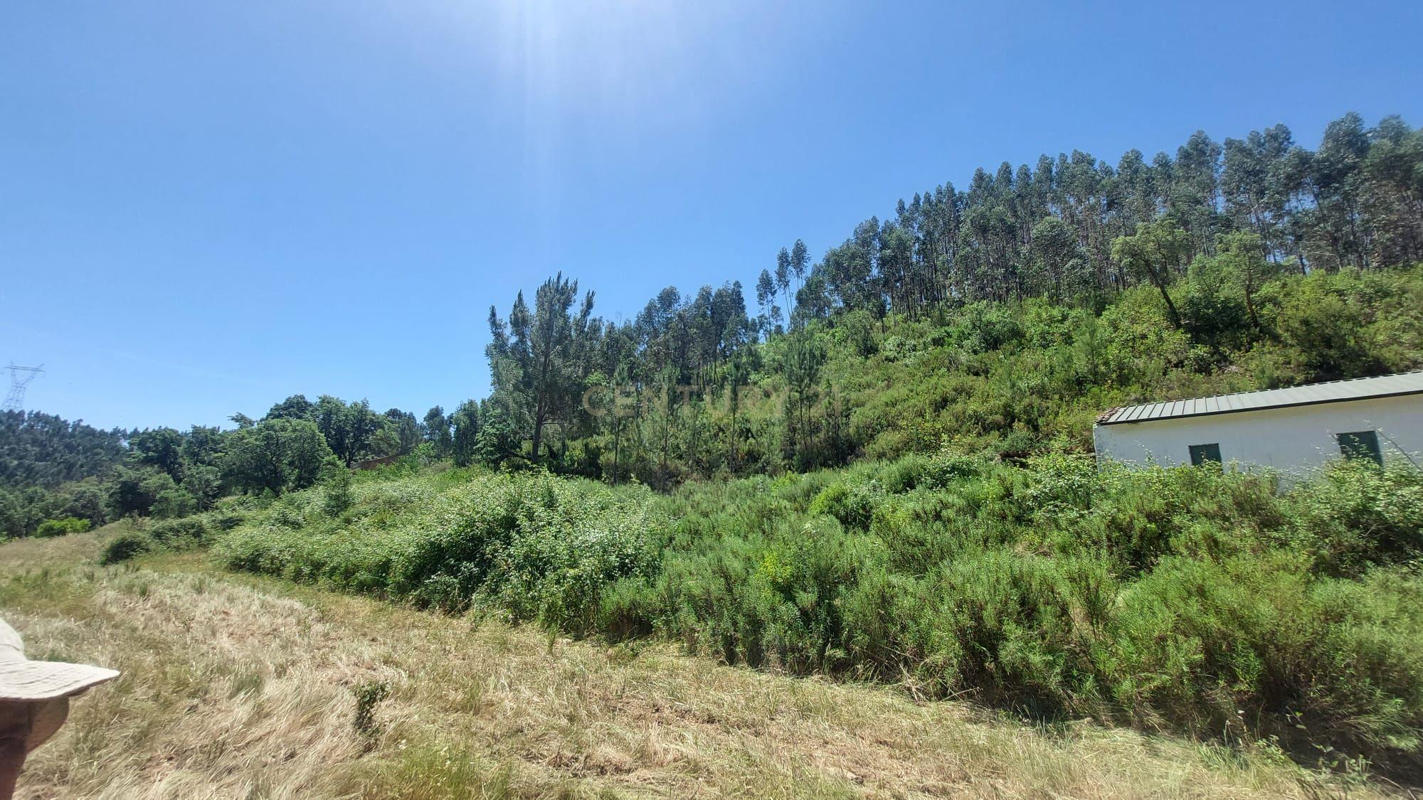 Fotografia 5 de Casa de Campo | Terreno | Alferce | Monchique