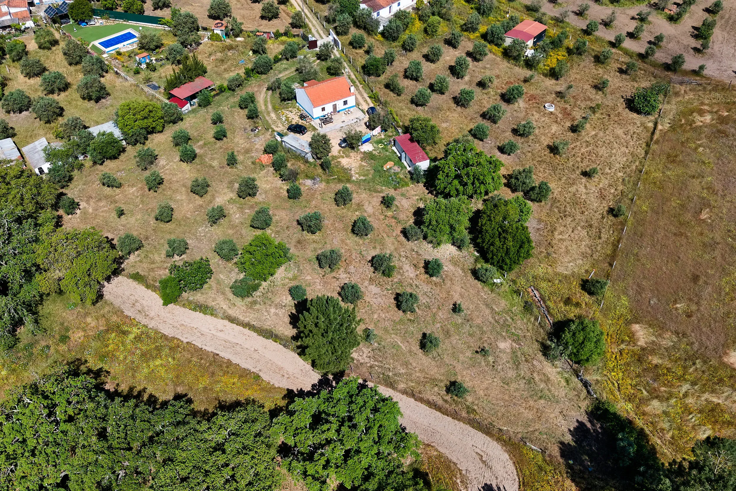 Viva o autêntico Alentejo – Seu refúgio em Ermidas do Sado - Cova do Gato espera por si - Image 34