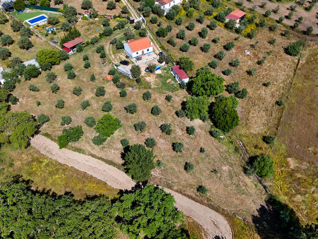 Viva o autêntico Alentejo – Seu refúgio em Ermidas do Sado - Cova do Gato espera por si - Image 34