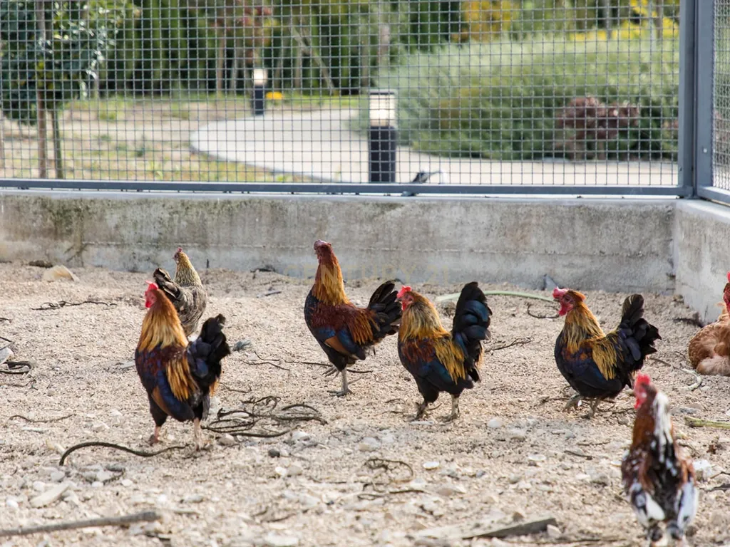 Propriedade T8 com Jardins, Lago e Potencial Alojamento - Localização Premium - Image 66