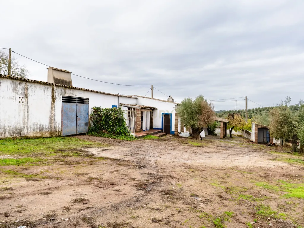 Monte típico 15ha Reguengos Monsaraz "Corval" 5 divisões, piscina e vinha - Image 36