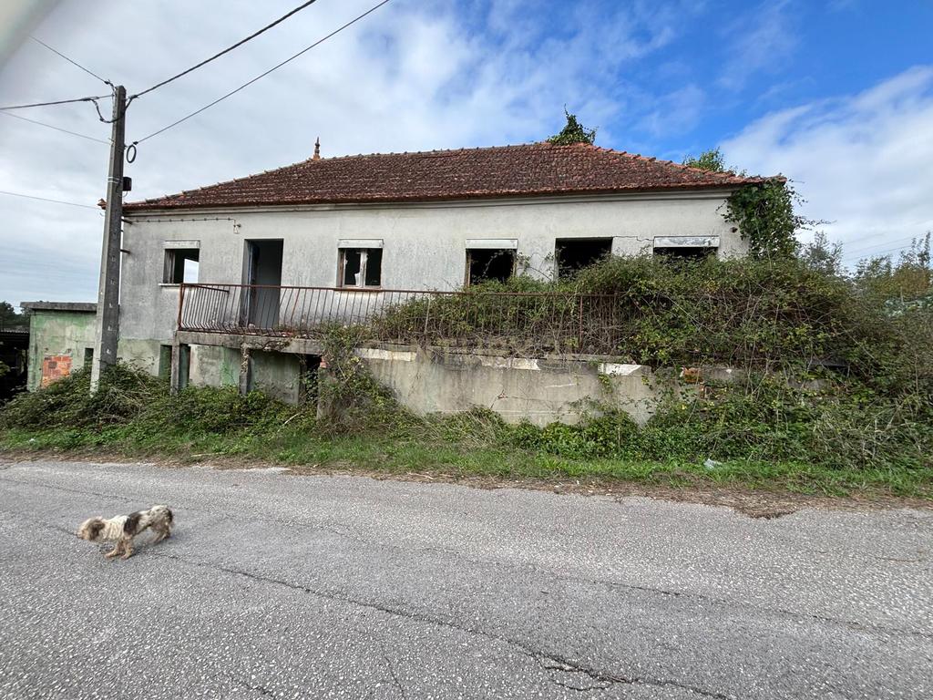 Moradia em ruína para recuperação em Pombal, Leiria - Image 2