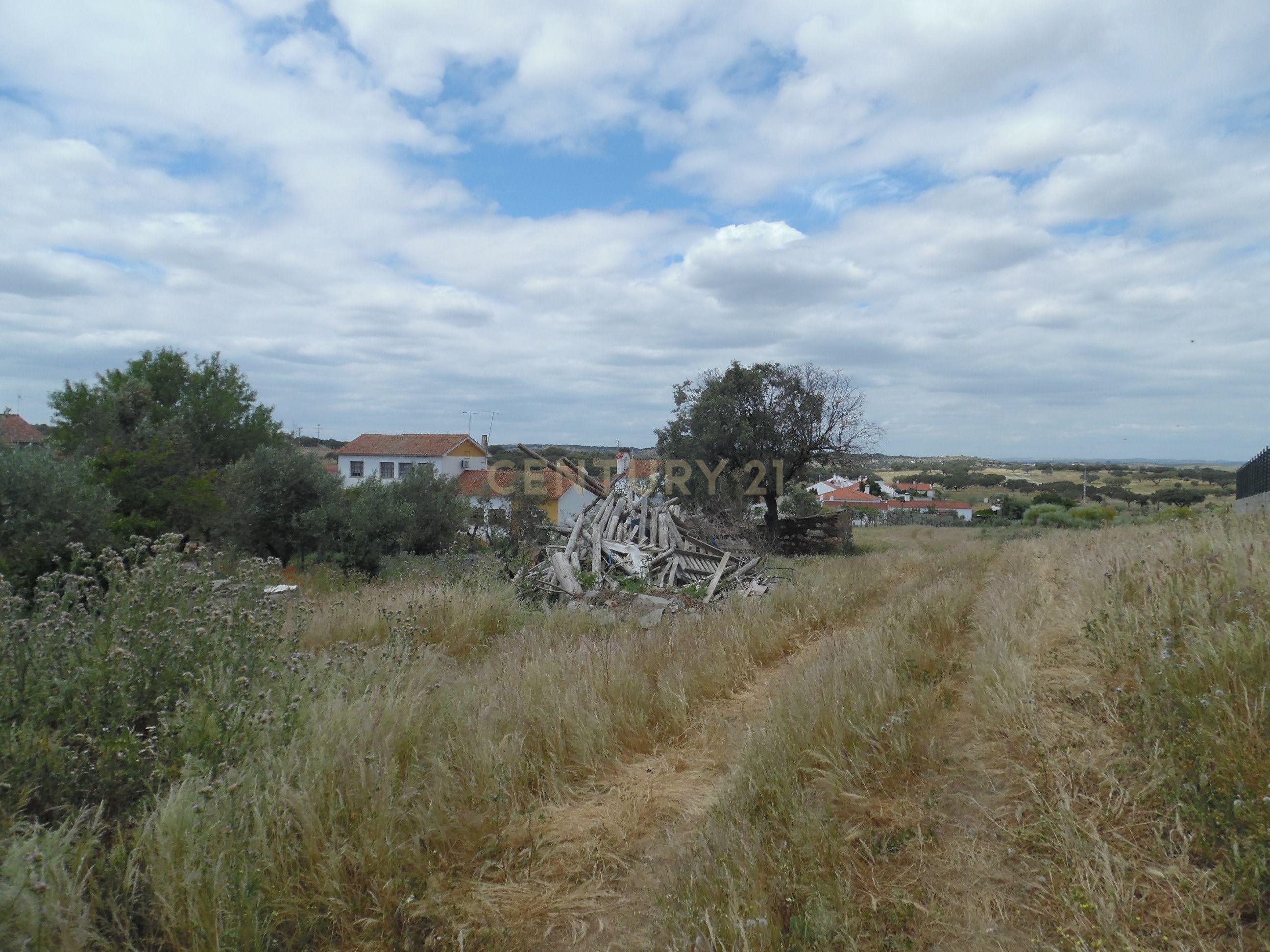 Moradia T3 à venda em Capelins (Santo António), Alandroal — foto 19