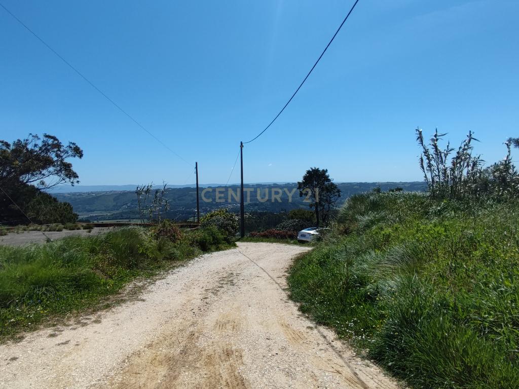 Terreno na Nazaré - Image 8