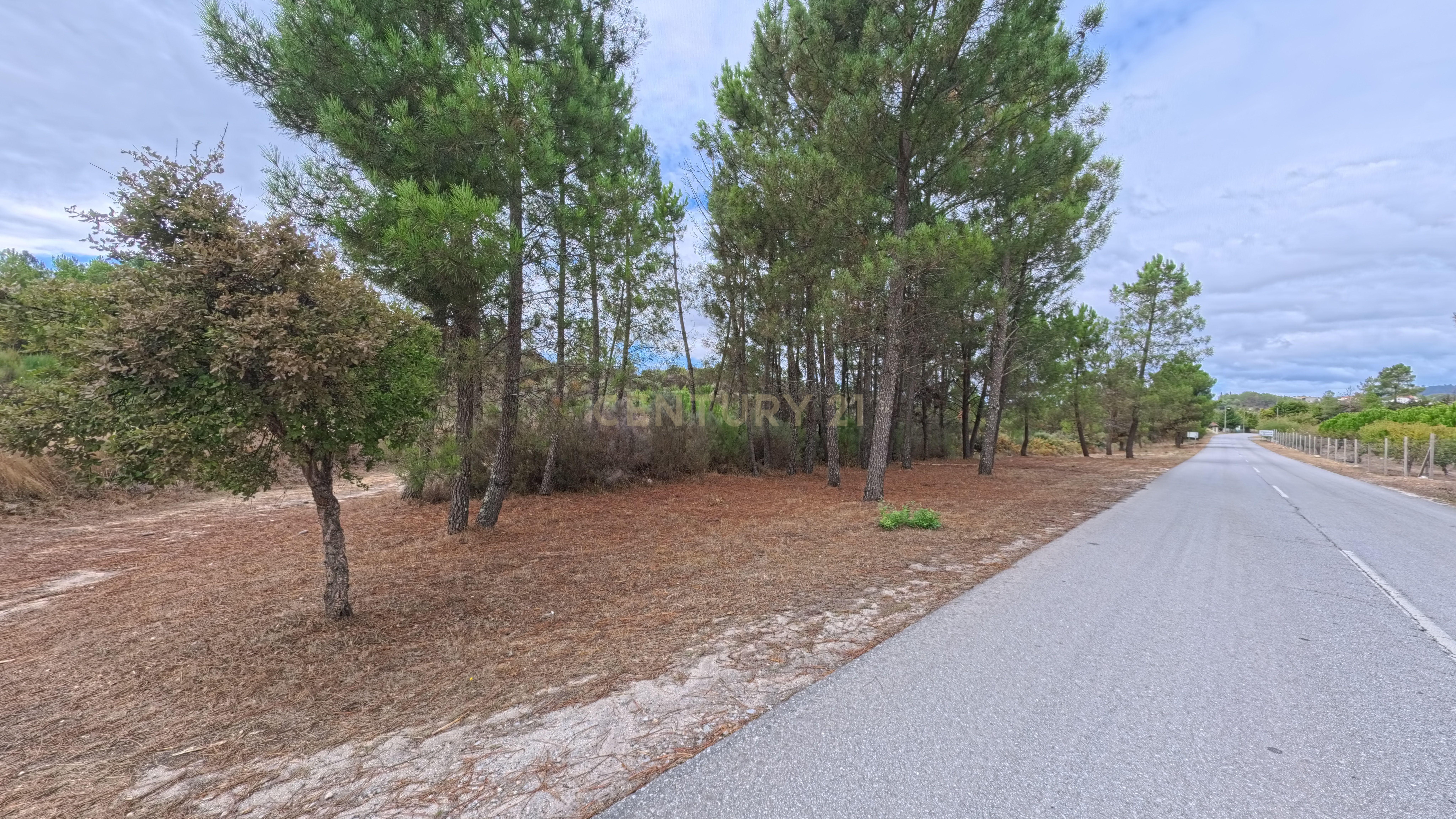 Fotografia 4 de Terreno com cerca de 18.000 m² em Figueiró da Granja - Fornos de Algodres