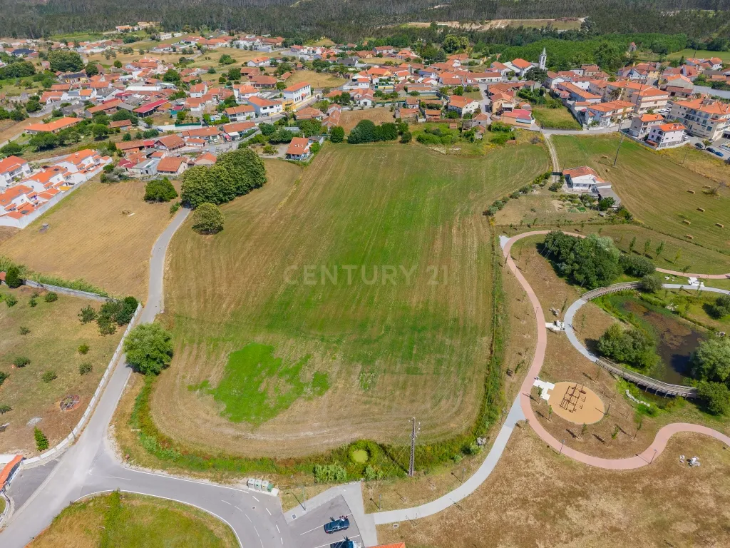 INVESTIMENTO COM ELEVADO POTENCIAL DE VALORIZAÇÃO - 2,3 HA - Image 4