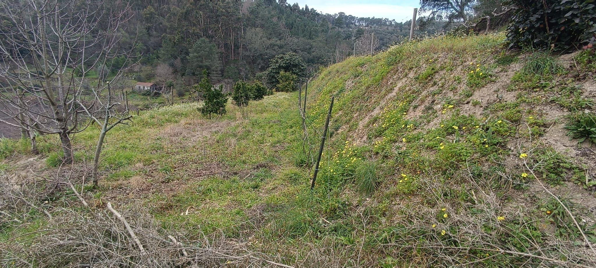 Terreno agrícola com àgua e viabilidade de construção em Granja, S. Tomé de Covelas, Baião, perto do do rio Douro, Porto - Image 26