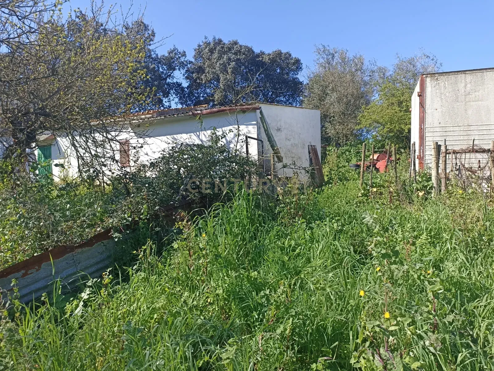 # Terreno Rustico em pleno centro de Montemor -o -Novo - Image 13