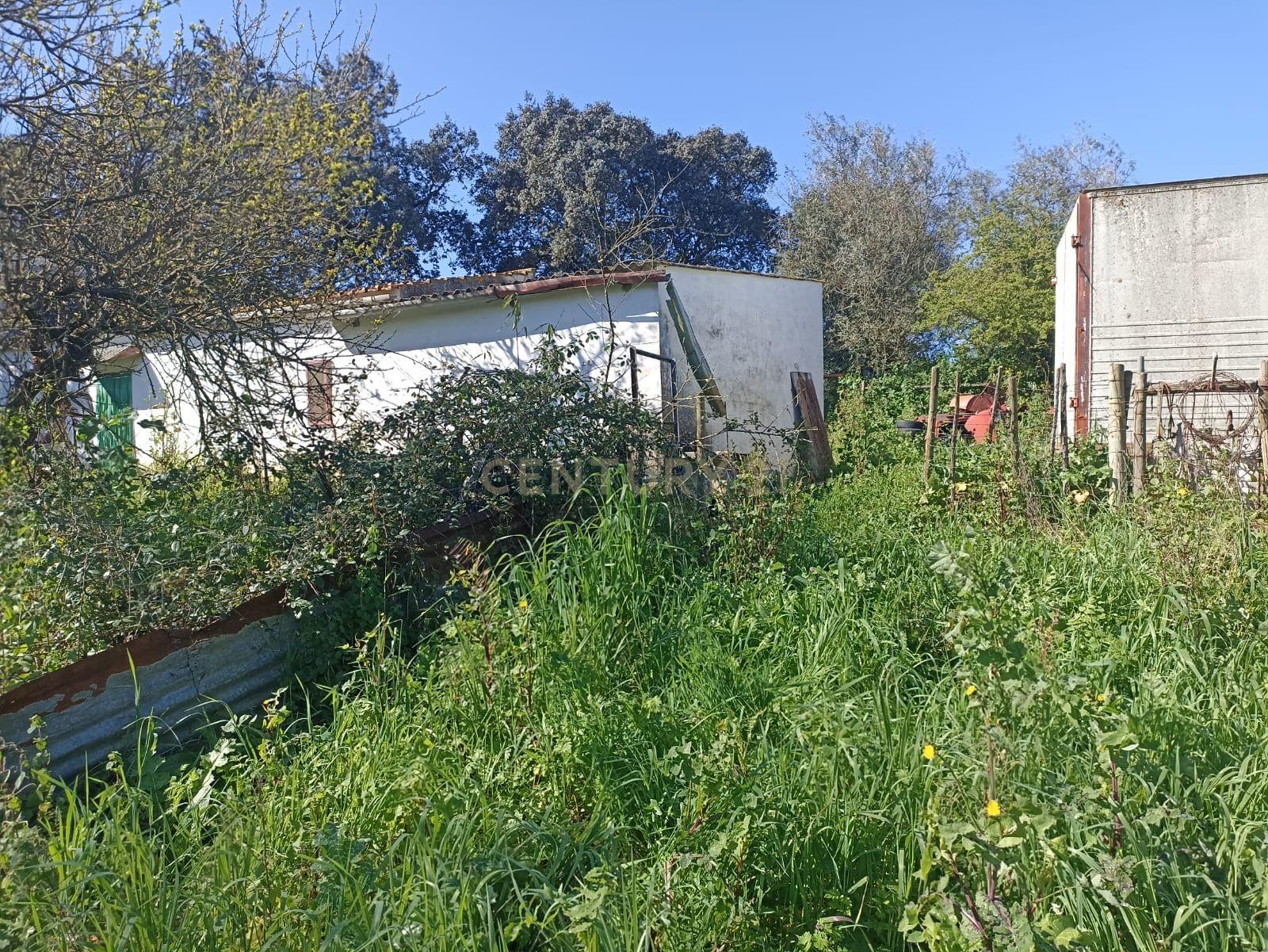 # Terreno Rustico em pleno centro de Montemor -o -Novo - Image 16