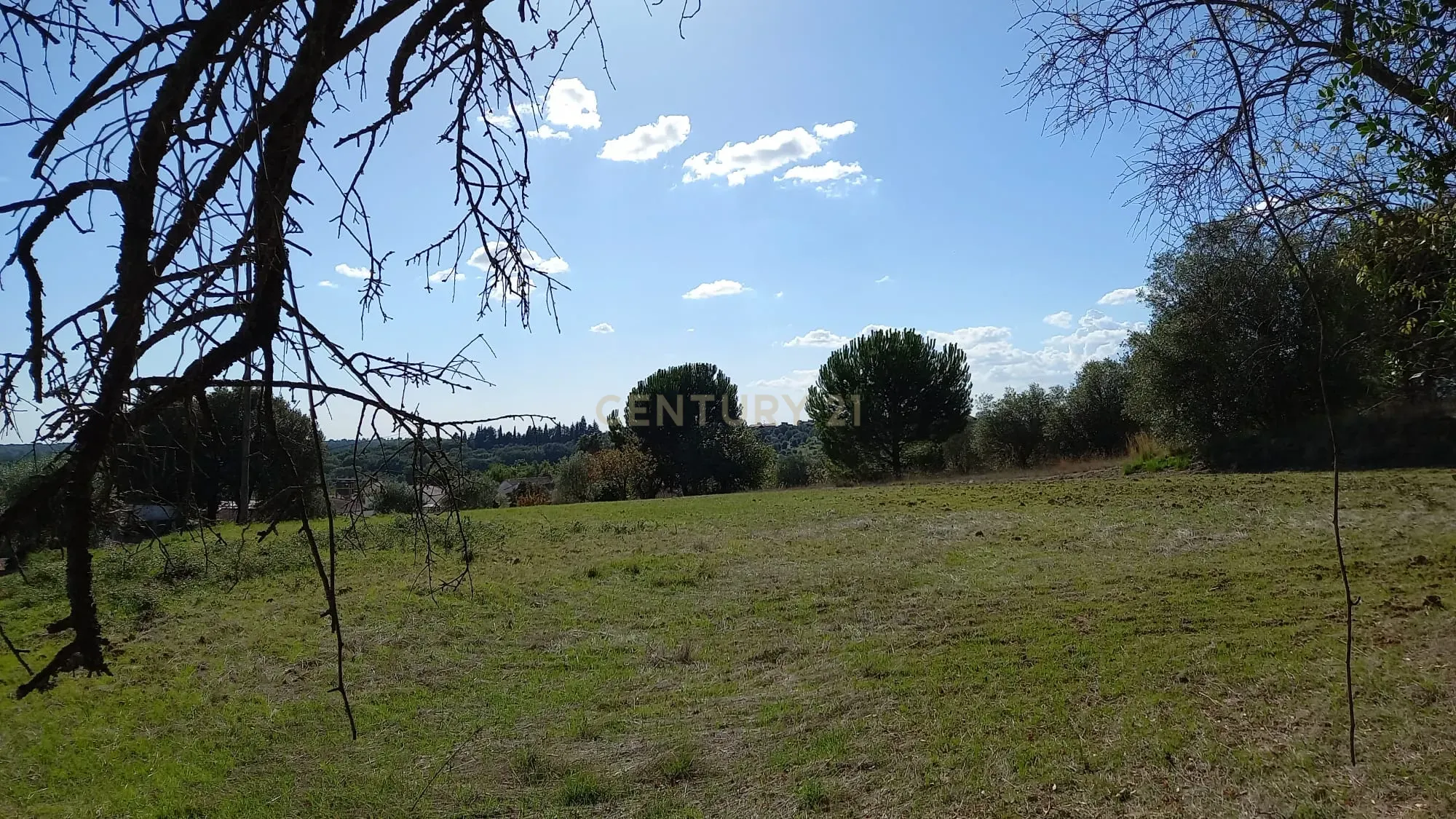 Fotografia 3 de Terreno em Madalena e Beselga | Tomar - Local Calmo e Iluminação Natural