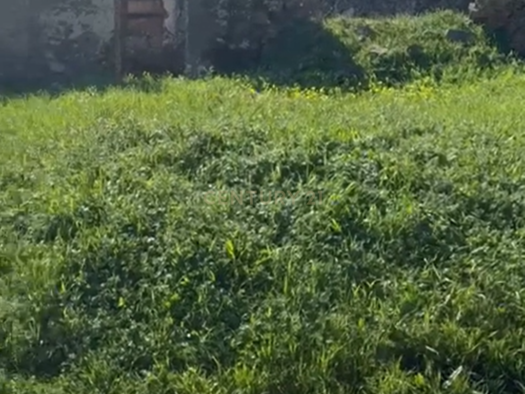 Terreno para Reconstrução, com Água, Natureza e bons acessos, em Cravais de Cima, Salir, Loulé, Algarve. - Image 4