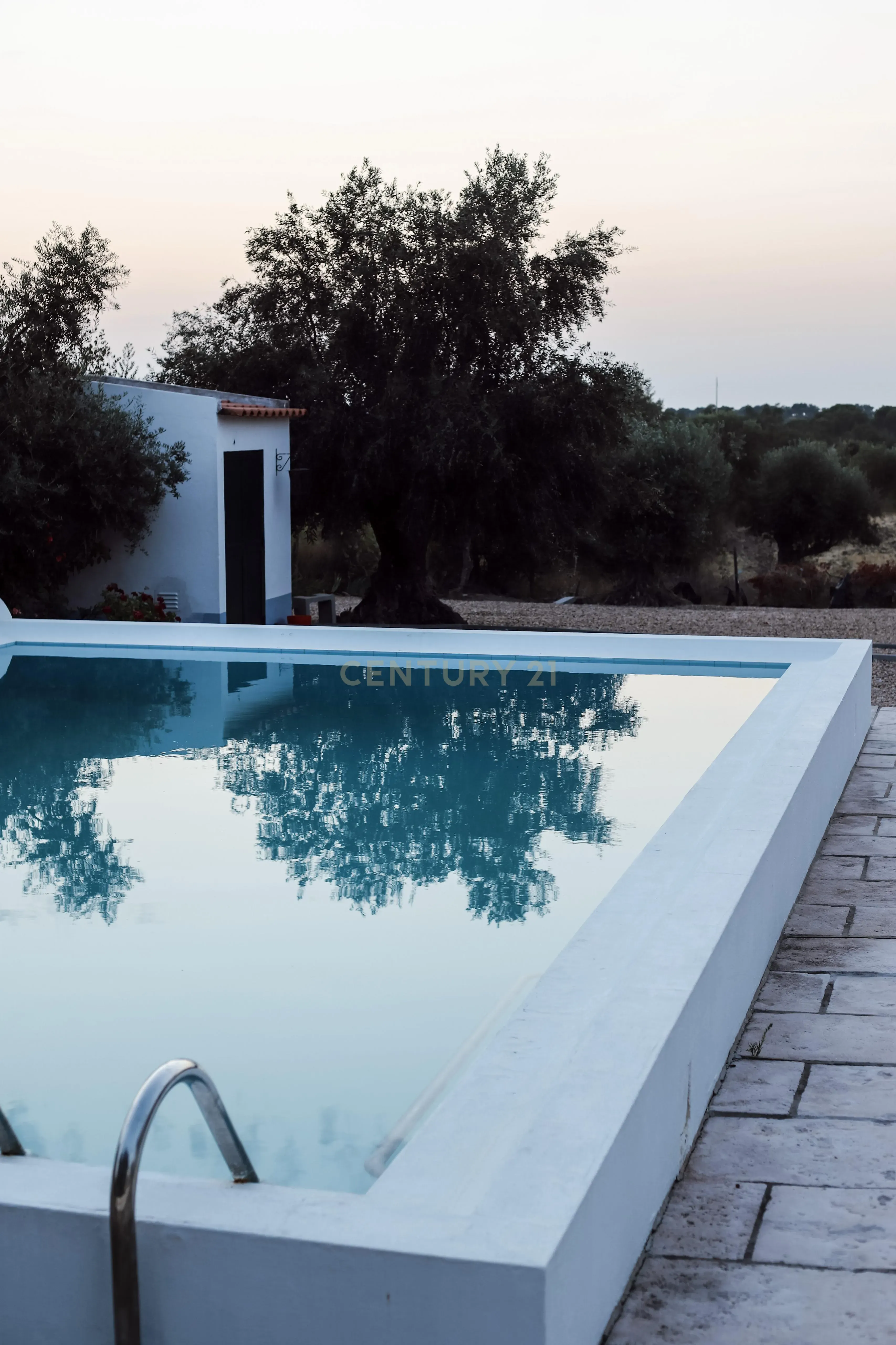 Excelente Quinta com Moradia T4 e piscina em Brotas, Mora- Évora - Image 4
