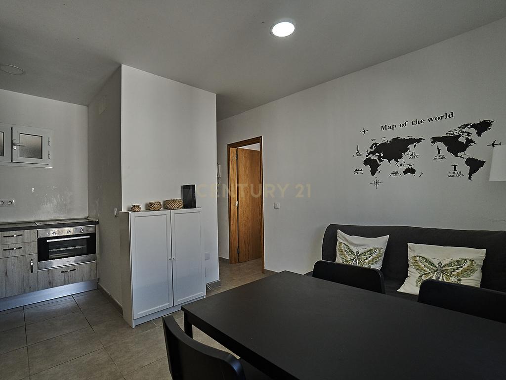  - Image 7