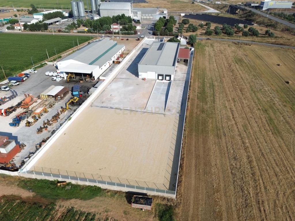 Armazém Industrial para Arrendamento – Riachos, Torres Novas - Image 2
