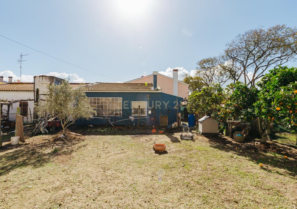 Montijo/Excelente Lote de Terreno com 1056m2 e Moradias para Remodelacao. - Image 5