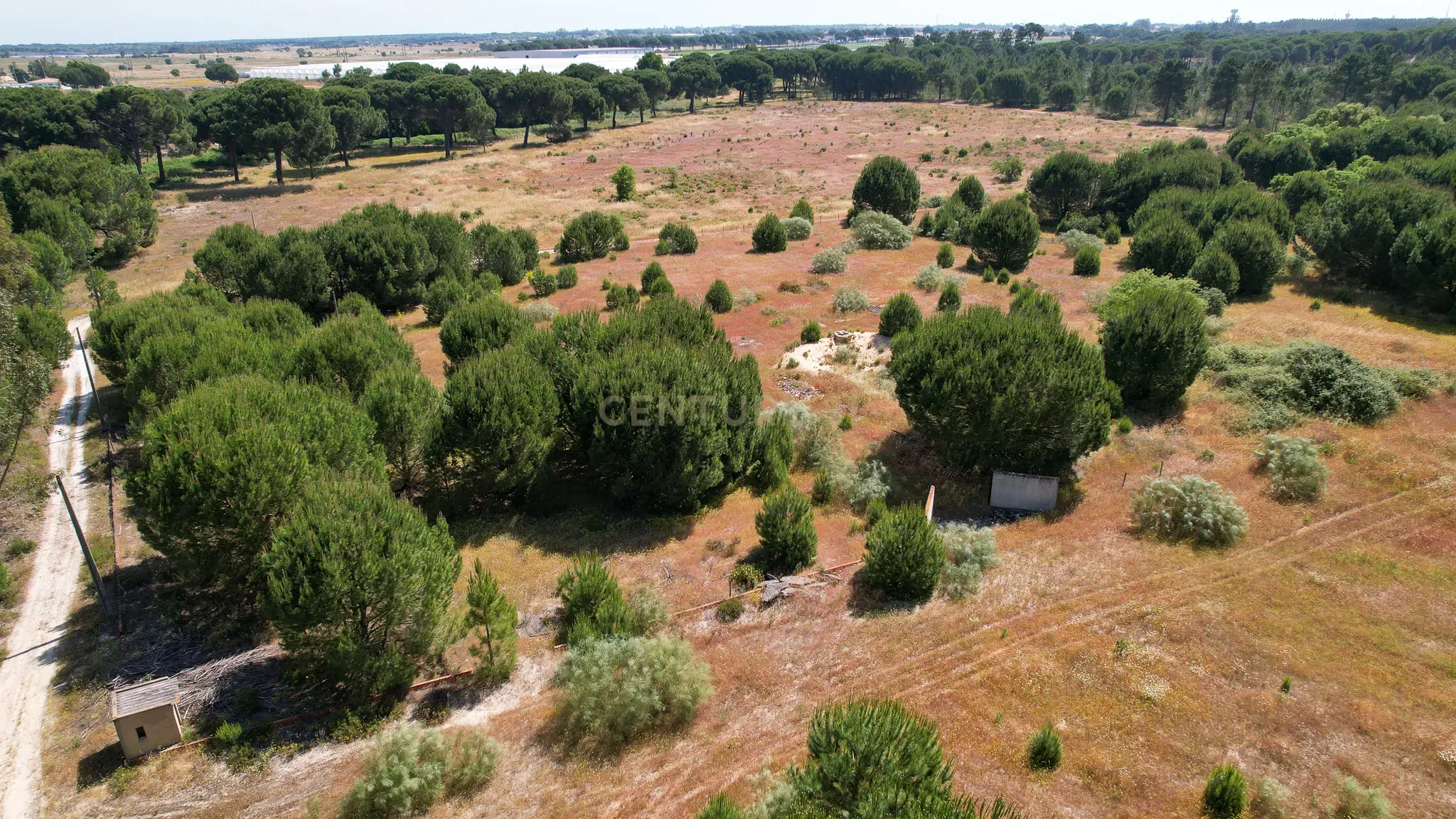Terreno Rústico c/ 22.500m2 - Sto Isidro de Pegões - Montijo - Image 9