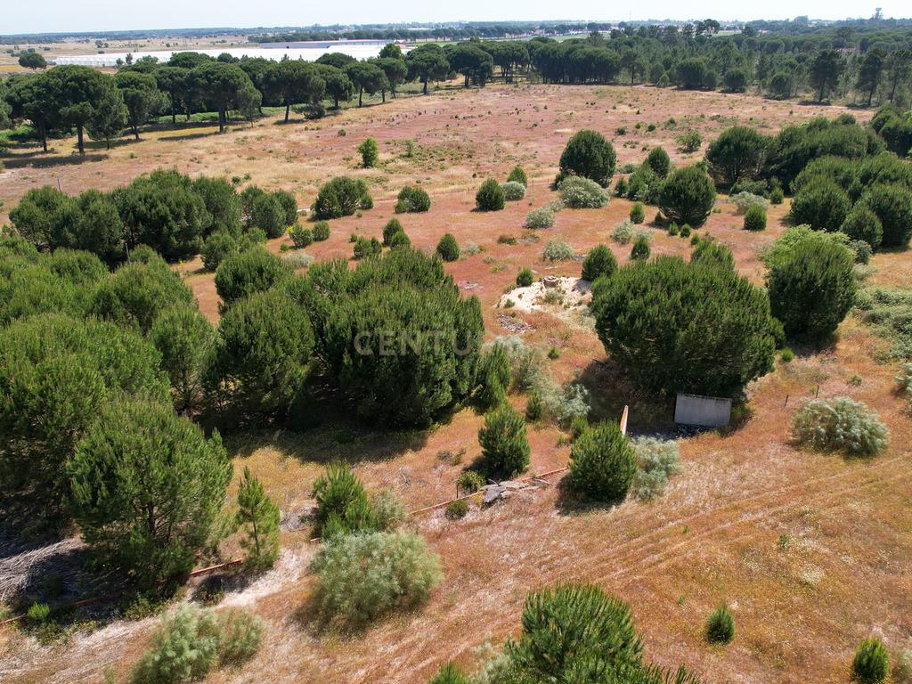 Terreno Rústico c/ 22.500m2 - Sto Isidro de Pegões - Montijo - Image 3