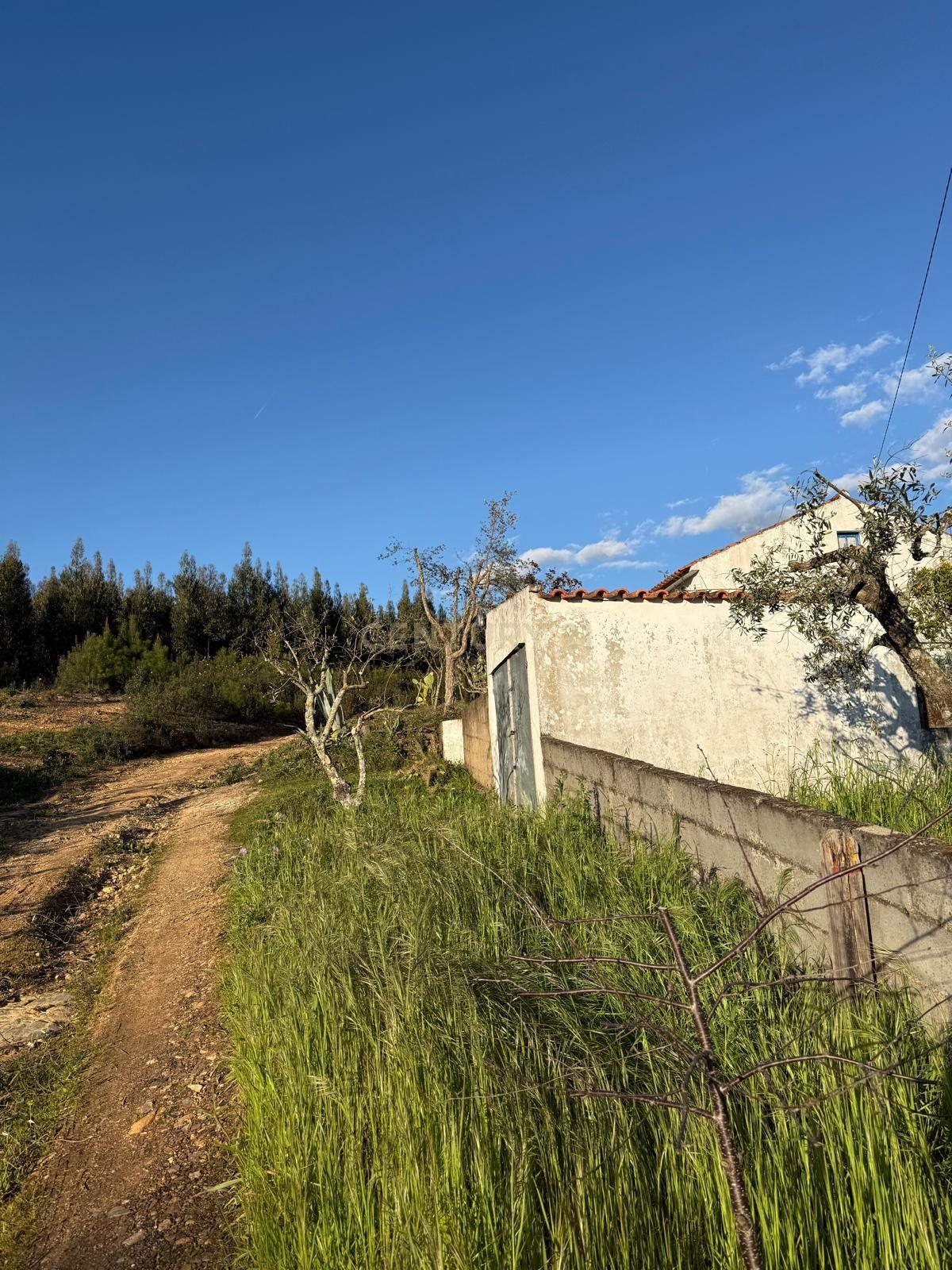 Fotografia 8 de Casa de Campo em Alegrete, Portalegre - Oportunidade Única