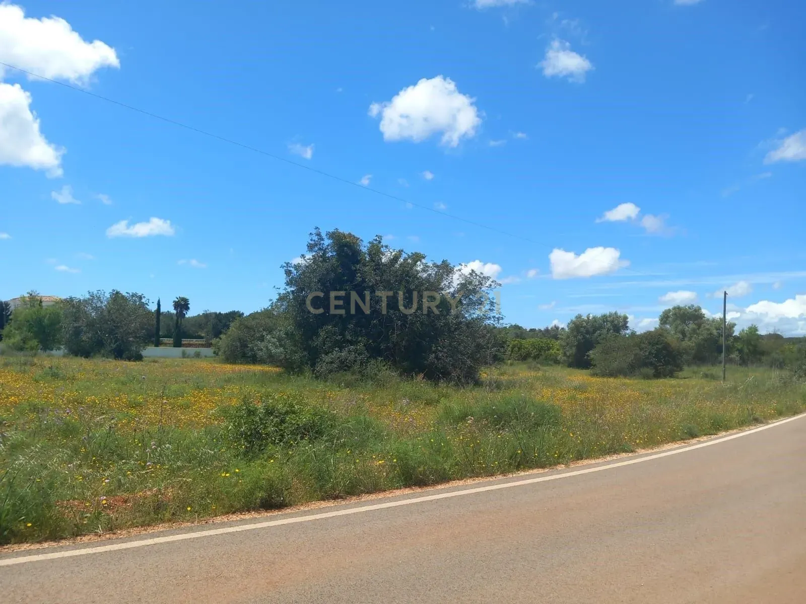 Terreno Rústico à Venda em Silves no Algarve - CPCV a decorrer - Image 2