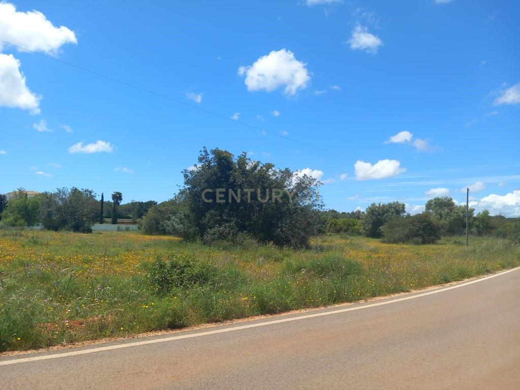 Terreno Rústico à Venda em Silves no Algarve - CPCV a decorrer - Image 2