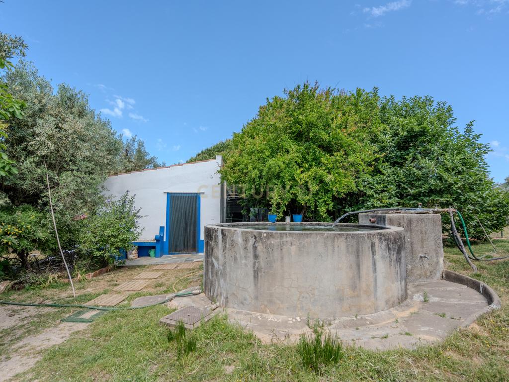 Quinta T3+3 com 4 HA em Borba – Natureza, Produção Agrícola e Conforto - Image 13