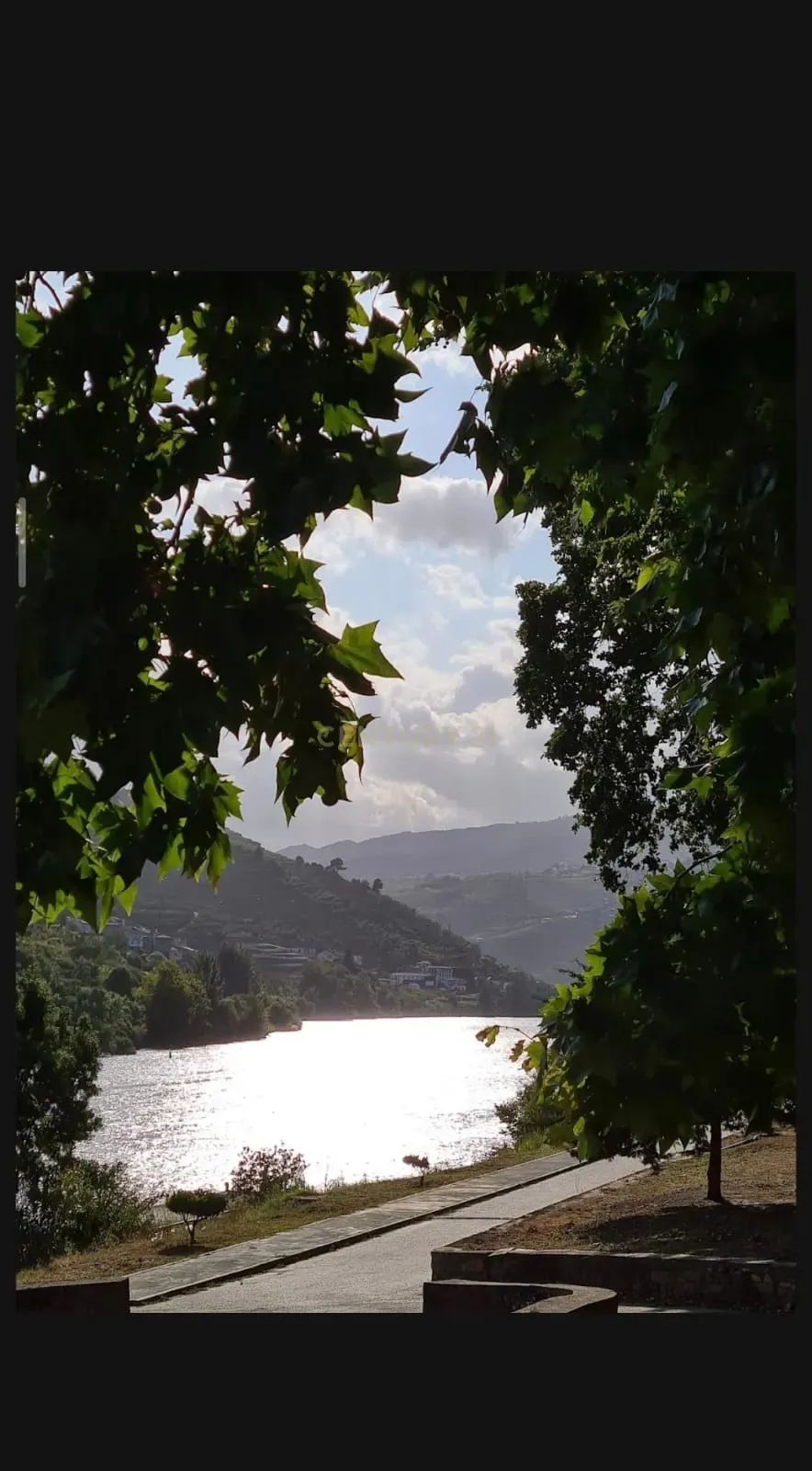 Fotografia 9 de Propriedade de origem secular no Alto Douro Vinhateiro (UNESCO), junto às Termas do Moledo